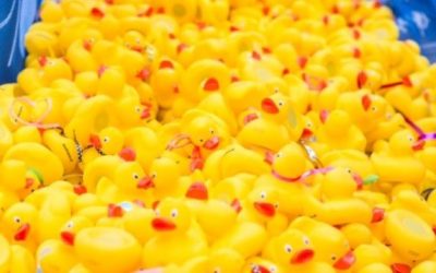 Alle eendjes zwemmen in het water: Duckrace brengt €4300 op voor LINDA.foundation