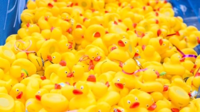 Alle eendjes zwemmen in het water: Duckrace brengt €4300 op voor LINDA.foundation