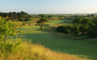 GOLFEN VOOR LINDA.FOUNDATION